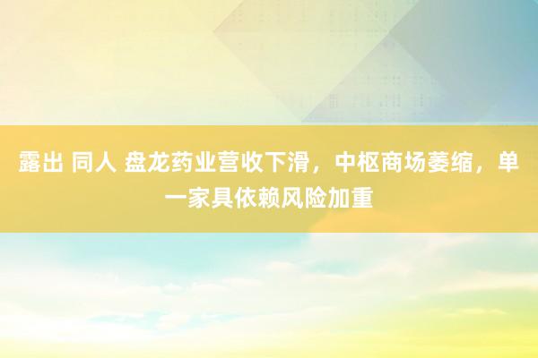 露出 同人 盘龙药业营收下滑，中枢商场萎缩，单一家具依赖风险加重