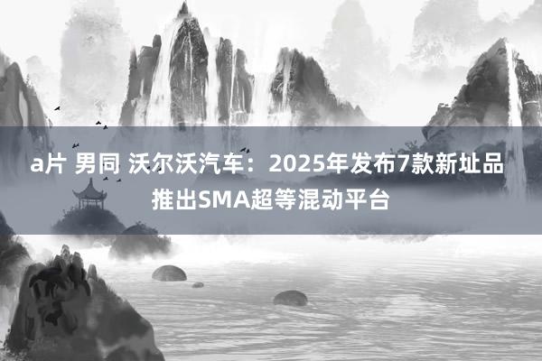 a片 男同 沃尔沃汽车：2025年发布7款新址品 推出SMA超等混动平台