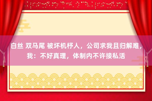 白丝 双马尾 被坏机杼人，公司求我且归解难，我：不好真理，体制内不许接私活