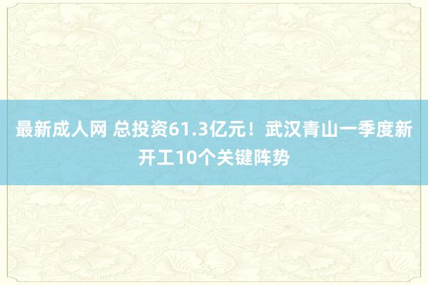 最新成人网 总投资61.3亿元！武汉青山一季度新开工10个关键阵势