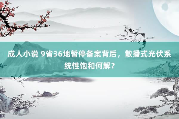 成人小说 9省36地暂停备案背后，散播式光伏系统性饱和何解？