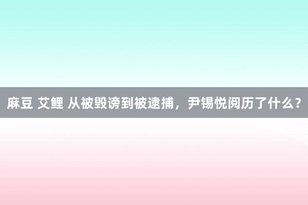 麻豆 艾鲤 从被毁谤到被逮捕，尹锡悦阅历了什么？