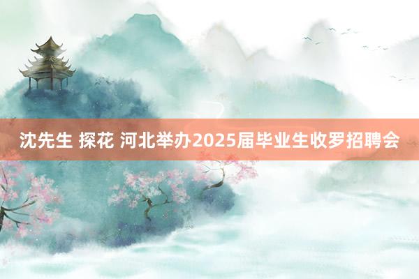 沈先生 探花 河北举办2025届毕业生收罗招聘会